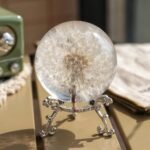 Real 60mm Dandelion Paperweight, Dandelion Resin Crystal Ball with Stand, Office Desktop Home Decor Gift for Dad,Mom,Teacher, Birthday, Wedding Valentine's Mother's Father's Day Gifts : Office Products