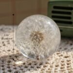 Real 60mm Dandelion Paperweight, Dandelion Resin Crystal Ball with Stand, Office Desktop Home Decor Gift for Dad,Mom,Teacher, Birthday, Wedding Valentine's Mother's Father's Day Gifts : Office Products - Image 4
