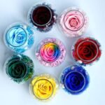 Preserved Real Roses with Colorful Mood Light Wishing Bottle,Eternal Rose，Never Withered Flowers,for Bedroom Party Table Decor, Anniversary,Valentine's,Mother's Day,a Gifts for Women (Burgundy) : Home & Kitchen - Image 7