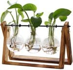 XXXFLOWER Plant Terrarium with Wooden Stand, Air Planter Bulb Glass Vase Metal Swivel Holder Retro Tabletop for Hydroponics Home Garden Office Decoration - 3 Bulb Vase : Home & Kitchen
