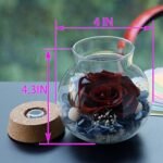 Preserved Real Roses with Colorful Mood Light Wishing Bottle,Eternal Rose，Never Withered Flowers,for Bedroom Party Table Decor, Anniversary,Valentine's,Mother's Day,a Gifts for Women (Burgundy) : Home & Kitchen - Image 2