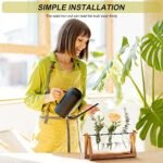 XXXFLOWER Plant Terrarium with Wooden Stand, Air Planter Bulb Glass Vase Metal Swivel Holder Retro Tabletop for Hydroponics Home Garden Office Decoration - 3 Bulb Vase : Home & Kitchen - Image 4