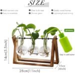 XXXFLOWER Plant Terrarium with Wooden Stand, Air Planter Bulb Glass Vase Metal Swivel Holder Retro Tabletop for Hydroponics Home Garden Office Decoration - 3 Bulb Vase : Home & Kitchen - Image 2