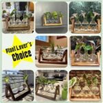 XXXFLOWER Plant Terrarium with Wooden Stand, Air Planter Bulb Glass Vase Metal Swivel Holder Retro Tabletop for Hydroponics Home Garden Office Decoration - 3 Bulb Vase : Home & Kitchen - Image 6