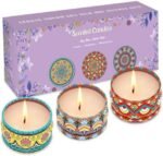 3 Pack Home Scented Candles - Strong Lavender, Bluebell & Mandarin Candle, 2.5 Oz, 100% Soy, Non-Toxic, Small Candle Set for Aromatherapy & Gifts, Prizes for Adults, Baby Shower Prizes : Home & Kitchen