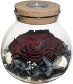 Preserved Real Roses with Colorful Mood Light Wishing Bottle,Eternal Rose，Never Withered Flowers,for Bedroom Party Table Decor, Anniversary,Valentine's,Mother's Day,a Gifts for Women (Burgundy) : Home & Kitchen