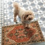 Collive Washable Indoor Door Mat, Non Slip Retro Entryway Rug 20" x 32" Doormat Quick Absorbent Entrance Rug Distressed Front Door Mat, Welcome Mats Floor Mat Doormats for Kitchen Home Patio : Patio, Lawn & Garden - Image 8