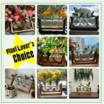 XXXFLOWER Plant Terrarium with Wooden Stand, Air Planter Bulb Glass Vase Metal Swivel Holder Retro Tabletop for Hydroponics Home Garden Office Decoration - 3 Bulb Vase : Home & Kitchen - Image 5